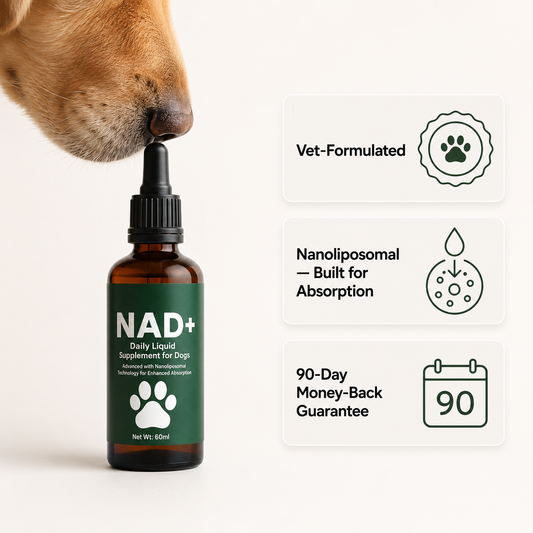 VTLFX NAD+ & NMN Longevity Drops