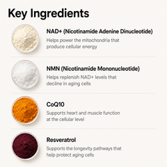 VTLFX NAD+ & NMN Longevity Drops